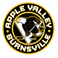 Apple Valley Hockey - Sport-Tek® PosiCharge® Competitor™ 1/4-Zip Pullover