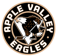 
              Apple Valley Hockey - Sport-Tek® PosiCharge® Competitor™ 1/4-Zip Pullover
            