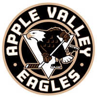 Apple Valley Hockey - Sport-Tek® PosiCharge® Competitor™ 1/4-Zip Pullover