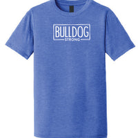 Westview Elementary - District ® Perfect Tri ® Youth & Adult Tee - Royal Frost