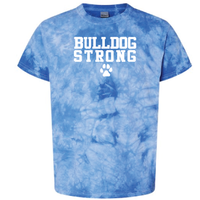 Westview Elementary - Tie-Dye